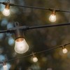 Enbrighten LED Bistro Outdoor String Lights, 48ft, 24 Shatter Resistant