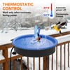 2 in 1 Heated Bird Bath for Outdoors for Winter,75W