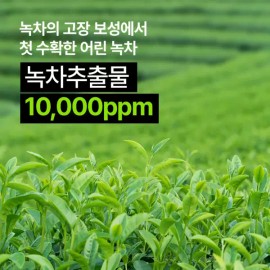 Nature Republic [네이처리퍼블릭] 어린녹차 순한 토너+에멀전 2종 [Nature Republic] Mild Green Tea Toner + Emulsion Set of 2 [Two emulsions PK4427]