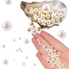1150Pcs 3/4/5/6/8/10/12mm White Round Pearls Beads, White Loose Pearls for