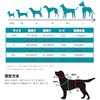 AIBPET Dog Harness with Leash for Small Dogs, Soft, Lightweight,