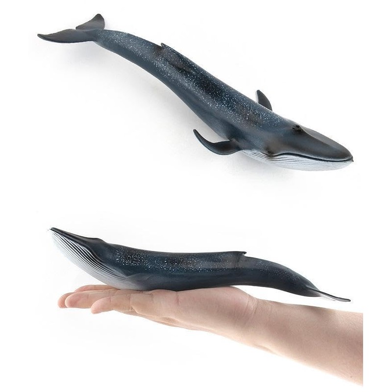 Cat Jin Mountain White Whale Sea Life Figure Model Miniature