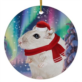 Funny White Hamster Christmas Ornament 2025 Ceramic Circle White - Festive Winter Northern Lights Holiday Xmas Tree Hanging Decoration Gifts for Hamster Lovers