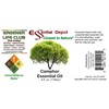 Essential Depot Camphor Essential Oil - 4 oz - GC/MS