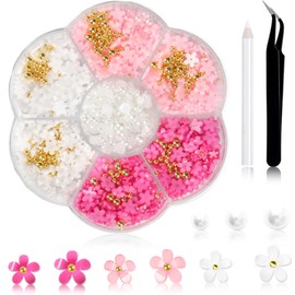 JEYORZY 1 Box Nail Art Charms, 3D Flowers Nail Art Charms, Acrylic Flowers Nail Rhinestone with Ornaments, Nail Gems, Nail Accessories for Girls, Nail Art Decoration, DIY Craft Nail Design