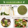 JUJUBODY モリンガ茶 無添加 モリンガ100％ 無農薬 未焙煎 ノンカフェイン モリンガティー ガーナ産【奇跡のモリンガ著者監修】 (12パック)
