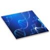 Sam Sandor 6 Inch Ceramic Tile Art - DNA Helix