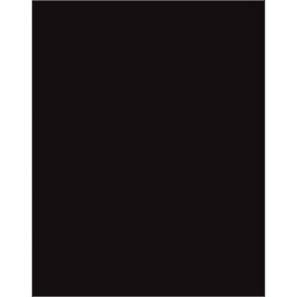 Pacon 18-Point Chalkboard Poster Board, 22" by 28", 25-Sheets (5350-1)