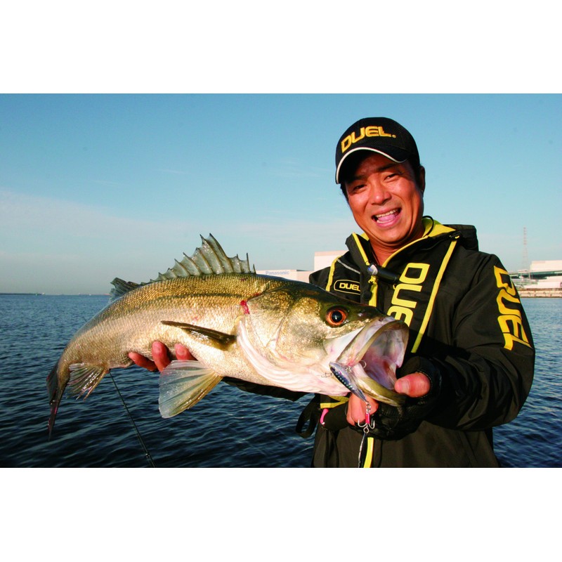 DUEL(デュエル) ルアー ハードコア スピン 32g 55mm PHRH