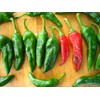 Chimayo New Mexico Chile Posole Pepper Premium Seeds for Planting