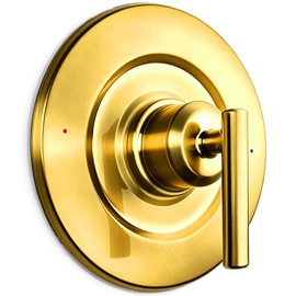 Replacement Trim Kit Compatible with Moen T2901BG, Brushed Gold