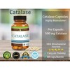 Suzy Cohen Catalase 12,500 Catu (500mg) Supplement Potent Antioxidant (Vegan)
