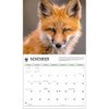 Calendar Ink, Foxes WWF 2025 Wall Calendar