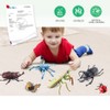 Bug Toys Figurines VOLNAU 12PCS Insect Animal Figures for Kids