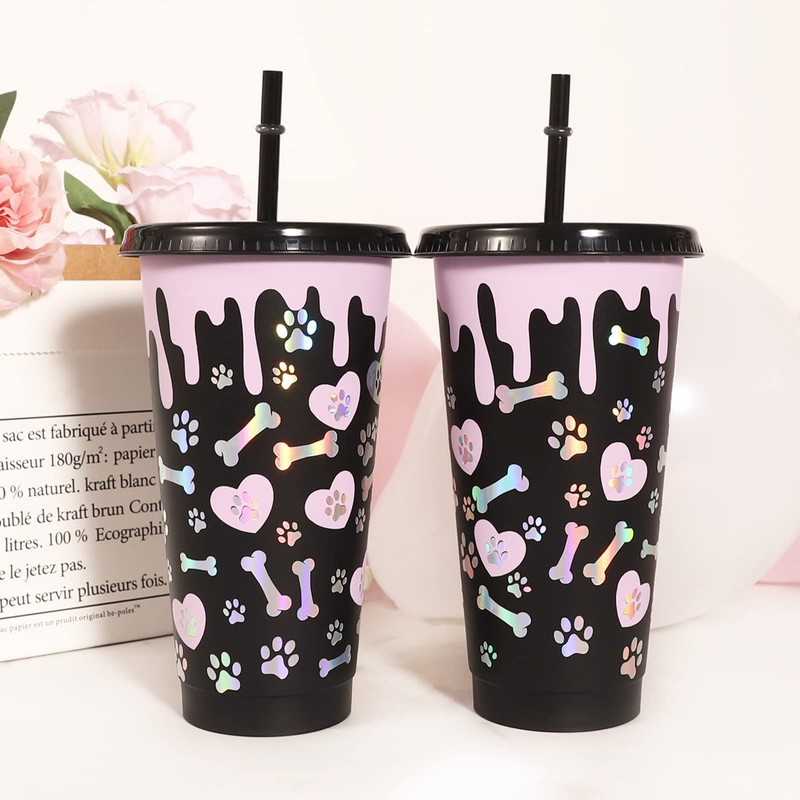 TECKWRAP Glossy Rainbow Holographic Silver Chrome Vinyl 1ftx5ft