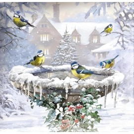 Paper House Christmas Cards PHXBA0031 Box 16 Stunning Artistic Art House Cards - Festive Birds Winter Feeder & Birdbath
