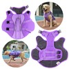 Dog Life Jacket Small, High Flotation Dog Life Vest for