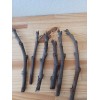 Tree Fig cuttings 6 total Dwarf Black Mission