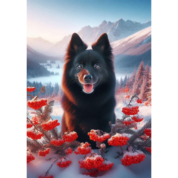 Schipperke - Best of Breed DCR Winter Berries Garden Flag