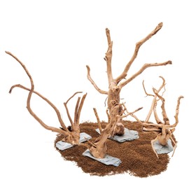 Ultum Nature Systems Driftwood - Spider Wood on Slate Stone for Fish Tank, Planted Tank, Terriarium, Paludarium - Versatile Natural Driftwood Decor - Spider Wood on Slate Stone, S 7-12", 3 Pack