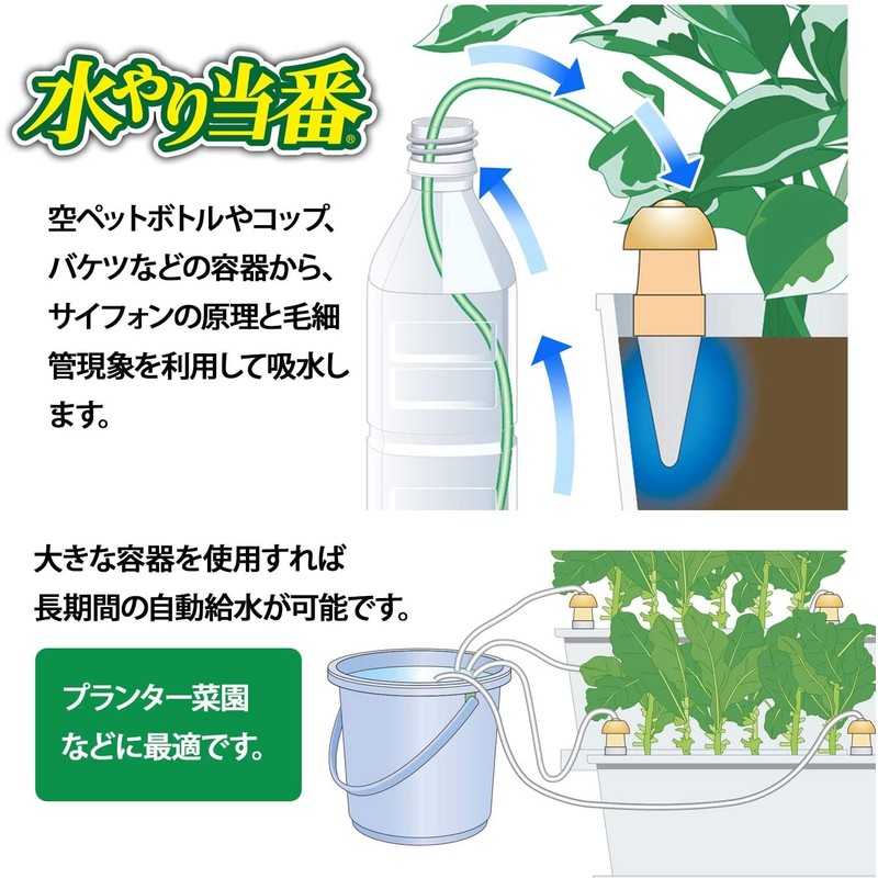Maruhachisangyou 104031 Watering Duty M (Pack of 2) Beige