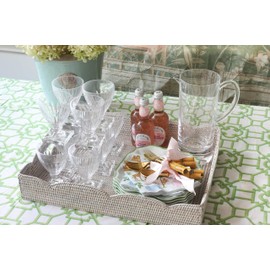 Caspari Acrylic 8.5oz Wine Goblet in Crystal Clear - Set of 2