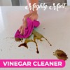 Mighty Mint Vinegar Cleaner, All-Purpose Spray, Spearmint Scent, 16oz