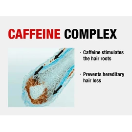 Alpecin Caffeine Shampoo C1 (375ml) - Strengthens Hair Growth And Reduces Hair Loss, For Men