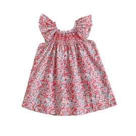 Summer Outfit Toddler Baby Girl Floral Dress Ruffle Sleeveless Dresses Tunic Dress Summer Sundress Girls Casual Dress (Pink, 18-24 Months)