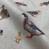 Discover Lifestyle & Fashion Fabrics Mallard Ducks Digital Print Design