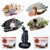Frankincense Myrrh Backflow Incense Cones - Total 20 Incense Cones