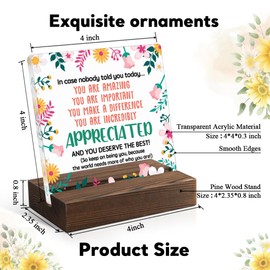 Juoqg You Are Incredibly Appreciated Acrylic Sign with Wooden Stand, Appreciation Gift for Colleague, Cheer Up Gift for Friend Daughter Sister, Thank You Gift for Coworker, Office Gift for Colleague