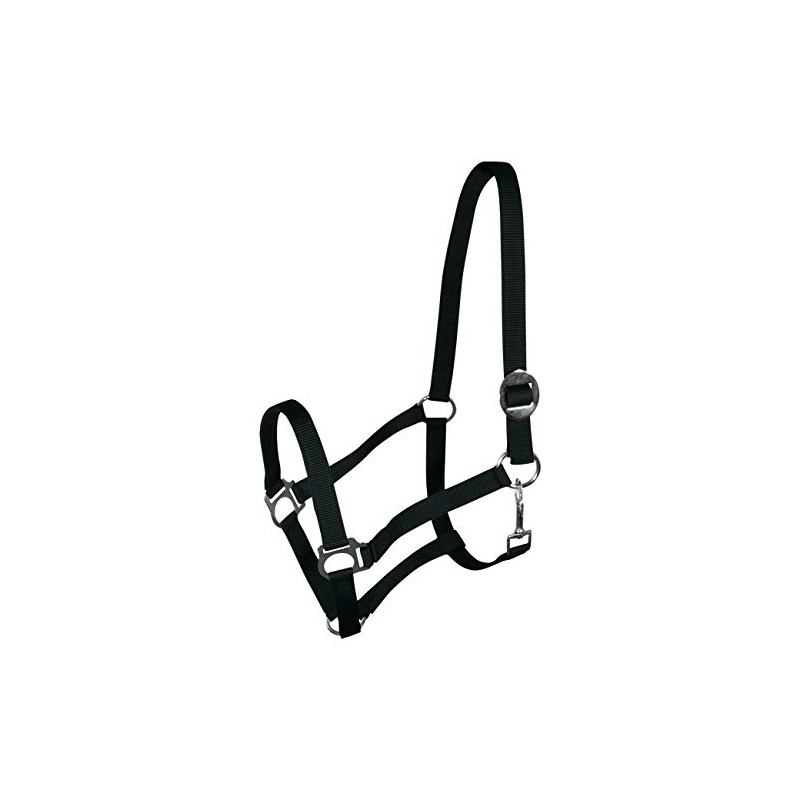 York Nylon Headcollar Headpiece Adjustable with Sliding Buckle Harmony Horse