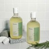 Bonajour Vegan Tea Tree Scalp Refreshing Shampoo 320ml / 보나쥬르