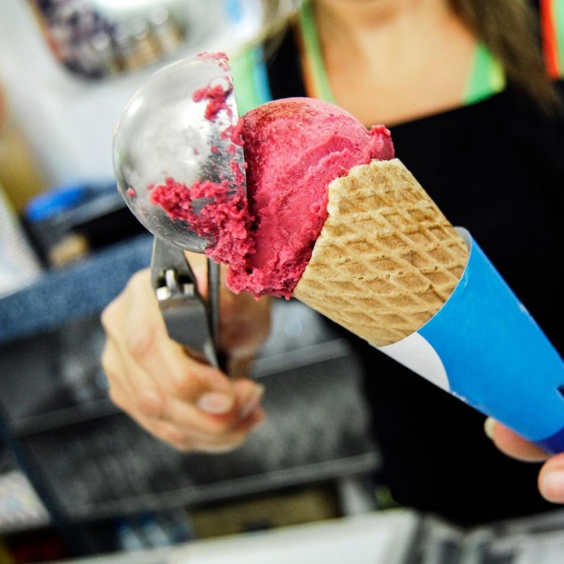 Ice Cream Scoop with Trigger - Stainless Steel Scooper for