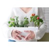 D'vine Dev 12 Inch Window Box Planter, Rectangle Plastic Herb