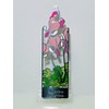 Stained-Glass Style Bookmark [SD] ( Dicentra peregrina )