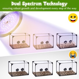 Meonum 1 Pack LED Growing Lights for Mushroom Unique Spectrum Mushroom Growing Lamp with 4.9 ft Extension Cord Hanging Light Bulbs with White Blue LEDs for Indoor Plants
