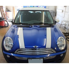 Whitney Bonnet HOOD Stripe Graphic Decals  FIts All YRs & MODELS