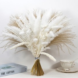 EAZHOP-100% Natural Dried Pampas Grass Bouquet Home Decor, White and Brown Pampas Grassland & Reed Grass & Bunny Tail Grass and Eucalyptus, Wedding Bohemian Flower Home Table Decoration (2)