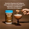 VITAL PROTEINS Chocolate flavor collagen peptides 297 g