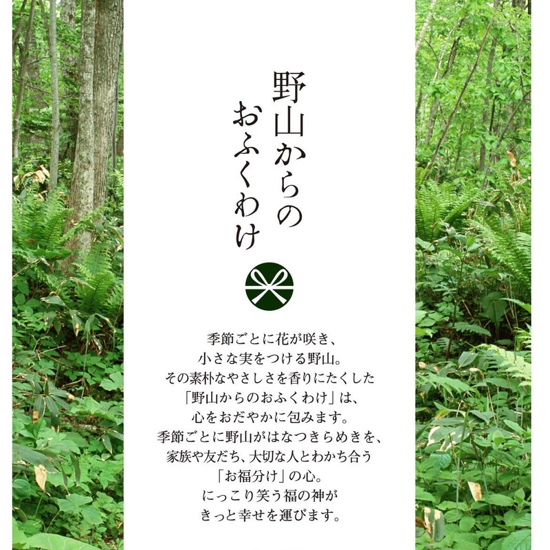 野山からのおふくわけ のいちごの薫り スティック１２本入