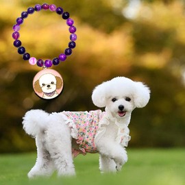 SODLYUE Dog Mom Gifts for Women, Amethyst Dog Mom Bracelets, Dog Gifts for Dog Lovers with Message Card, Poodle Gifts for Birthday Christmas Valentines Day Mothers Day, Stone, no gemstone