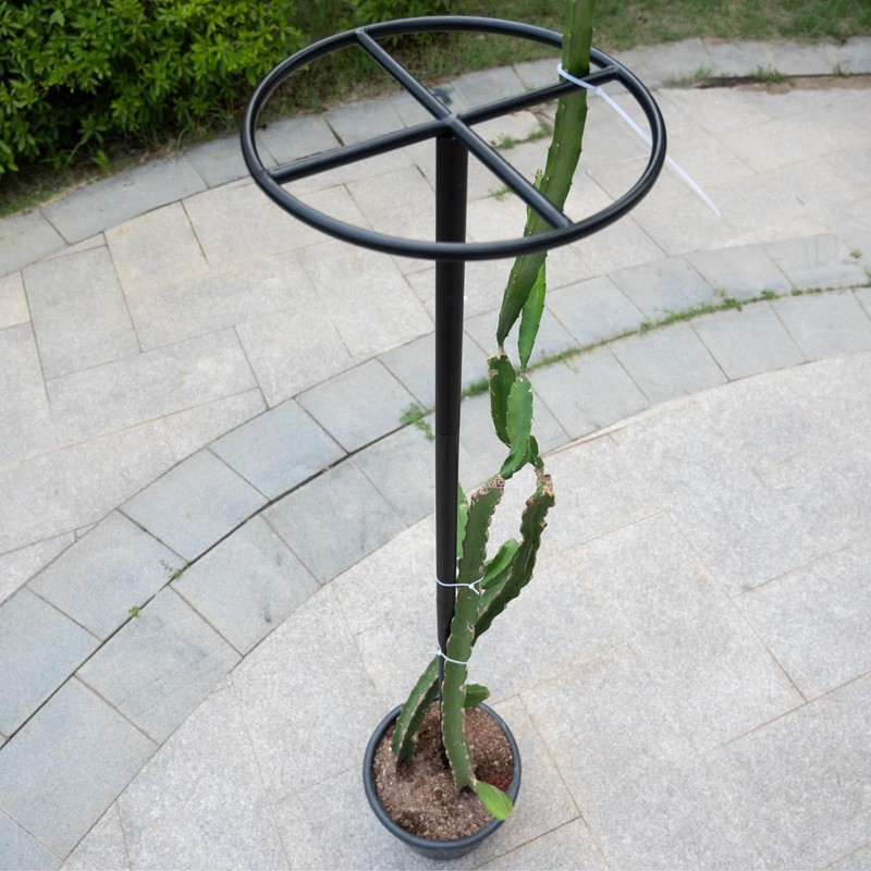 GOOOXIM 14"x14"x60" 1PCS Dragon Fruit Trellis - Durable Metal Vertical