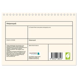 Welpenspaß (Tischkalender 2026 DIN A5 quer), CALVENDO Monatskalender: Niedliche, agile Labrador Welpen tollen durch das Jahr! (CALVENDO Tiere)