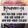 Sanhaerang Flower Tea 3-piece Gift Set Marigold + Cockscomb +