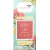 Tea People Bombay Chai, 15 Tea Pyramids in Retail Pack