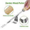 Zocipro Stainless Steel Weeder Hand Weeder for the Garden, Hand