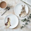 Wrendale Coupe Plates - Rabbit Duckling - Set of 2