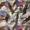 Pico Textiles 1 Yard, Eagles and USA Flags Fleece Fabric,